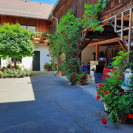 Loft-Like Apartment In Scheibbs With Swimming Pond Экстерьер фото