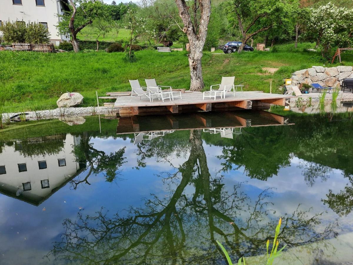 Loft-Like Apartment In Scheibbs With Swimming Pond Экстерьер фото